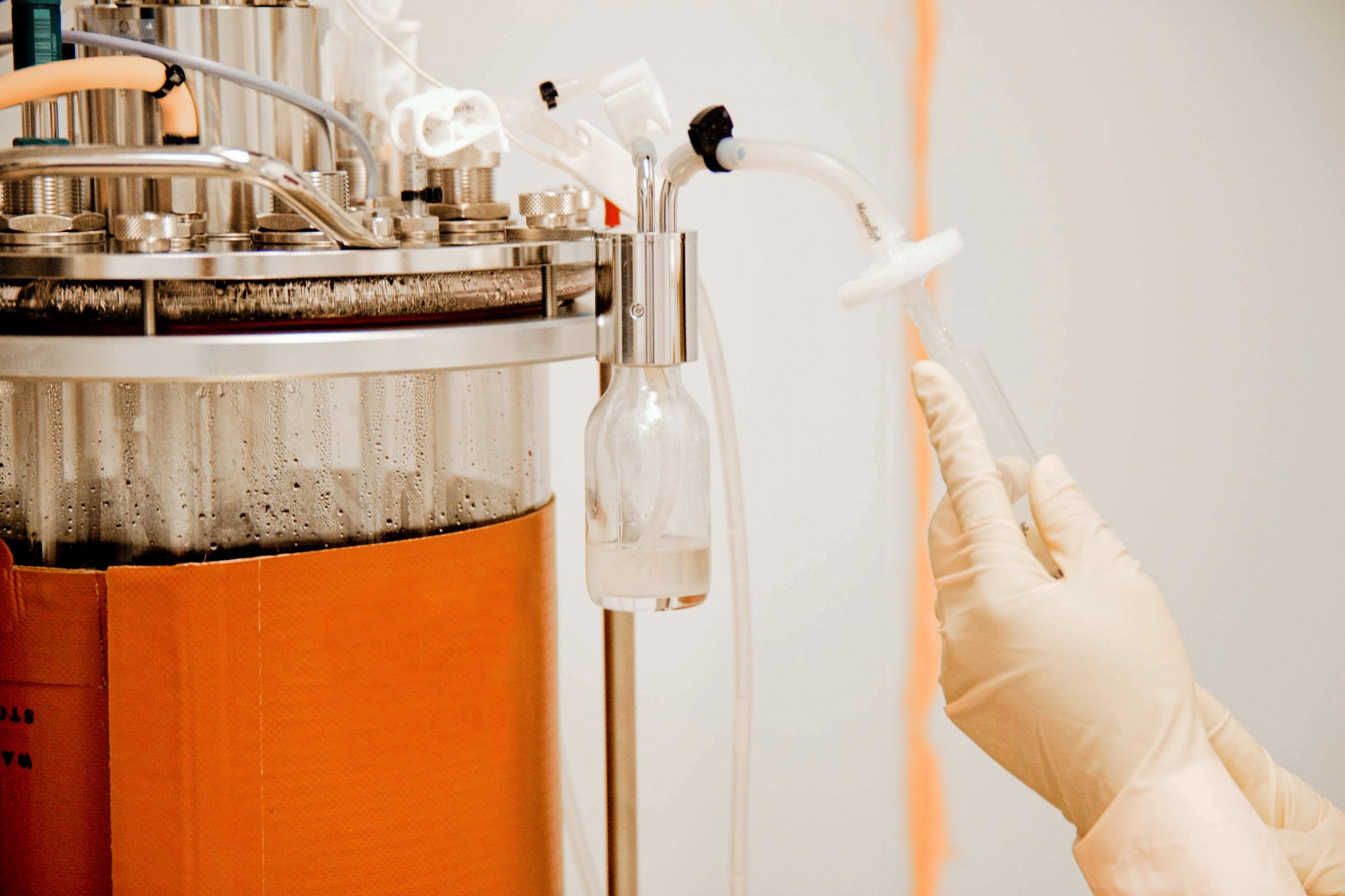 Microbial Fermentation Fermentation Development KBI Biopharma